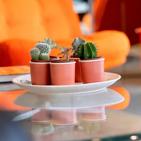 Apartment Jardin D'eden - Incroyable Rooftop Jardin Suspendu Cannes